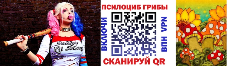 блэк спрут tor  Хадыженск  Галлюциногенные грибы GOLDEN TEACHER 